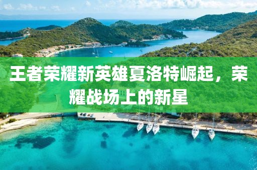 王者荣耀新英雄夏洛特崛起，荣耀战场上的新星