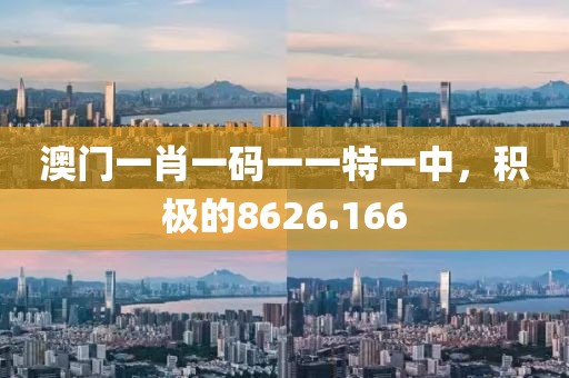 澳门一肖一码一一特一中，积极的8626.166