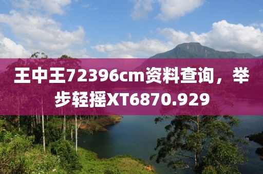 王中王72396cm资料查询，举步轻摇XT6870.929
