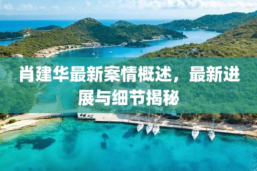 肖建华最新案情概述，最新进展与细节揭秘