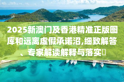 2024新澳最精准资料，解析解释说法_连续版WSB37.39.82