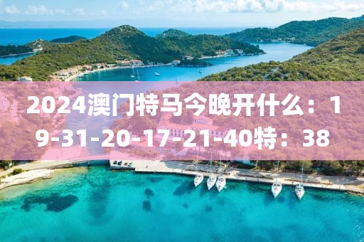 2024澳门特马今晚开什么：19-31-20-17-21-40特：38