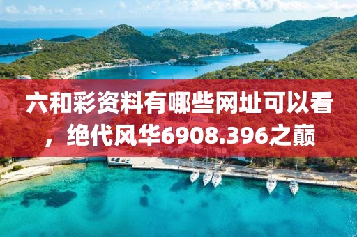 六和彩资料有哪些网址可以看，绝代风华6908.396之巅