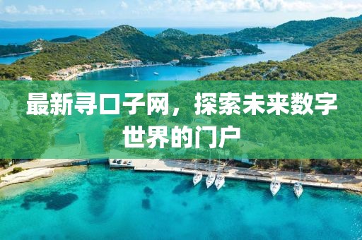 最新寻口子网，探索未来数字世界的门户