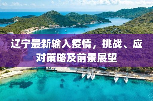 辽宁最新输入疫情，挑战、应对策略及前景展望