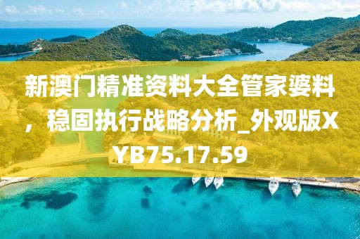 新澳门精准资料大全管家婆料，稳固执行战略分析_外观版XYB75.17.59