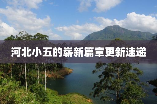 河北小五的崭新篇章更新速递