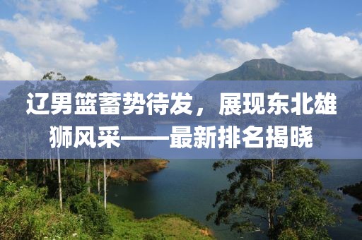 辽男篮蓄势待发，展现东北雄狮风采——最新排名揭晓