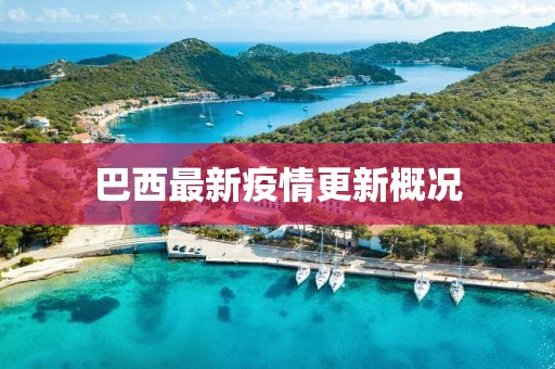 巴西最新疫情更新概况