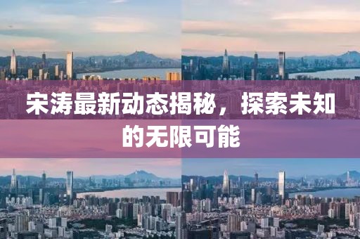 宋涛最新动态揭秘，探索未知的无限可能