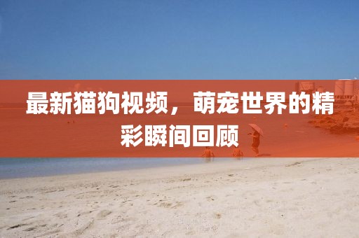 最新猫狗视频，萌宠世界的精彩瞬间回顾