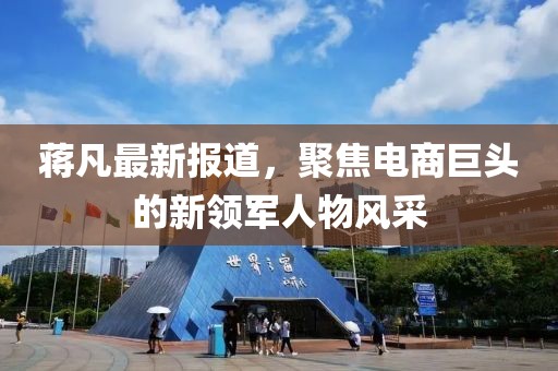 蒋凡最新报道，聚焦电商巨头的新领军人物风采