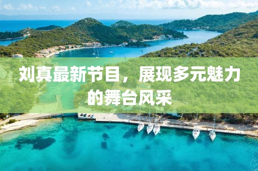 刘真最新节目，展现多元魅力的舞台风采