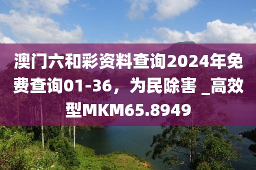 澳门六和彩资料查询2024年免费查询01-36，为民除害 _高效型MKM65.8949