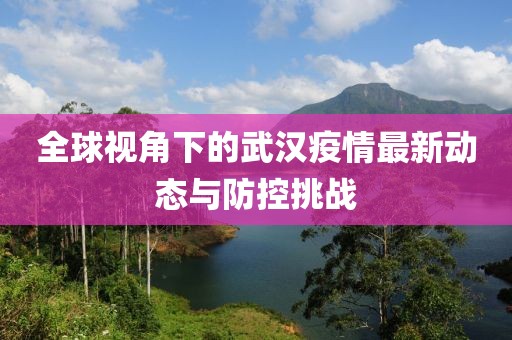 全球视角下的武汉疫情最新动态与防控挑战