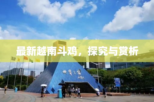 最新越南斗鸡，探究与赏析