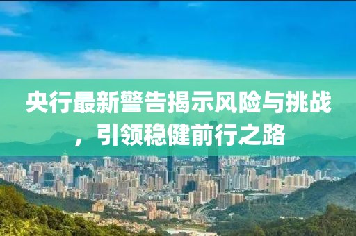 央行最新警告揭示风险与挑战，引领稳健前行之路