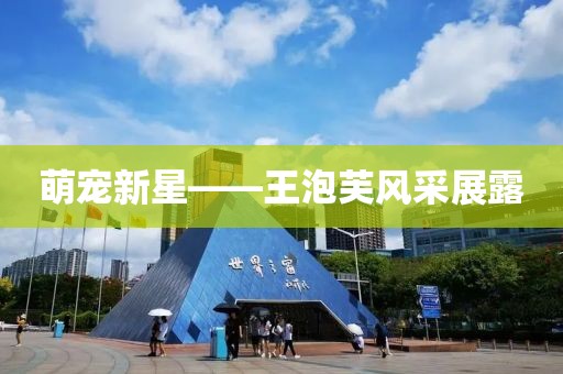 萌宠新星——王泡芙风采展露