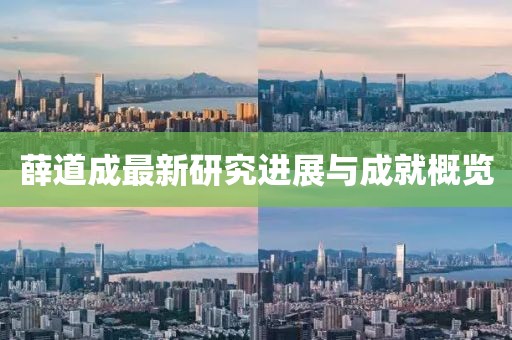 薛道成最新研究进展与成就概览