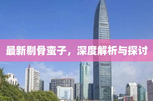 最新剔骨蛮子，深度解析与探讨