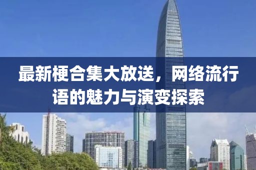 最新梗合集大放送，网络流行语的魅力与演变探索