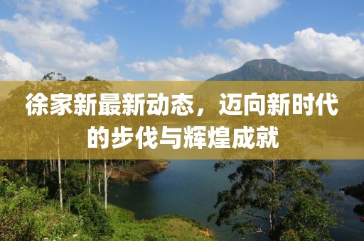 徐家新最新动态，迈向新时代的步伐与辉煌成就