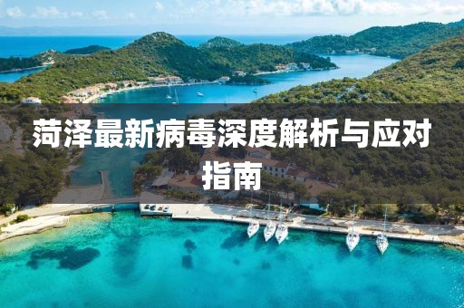 菏泽最新病毒深度解析与应对指南