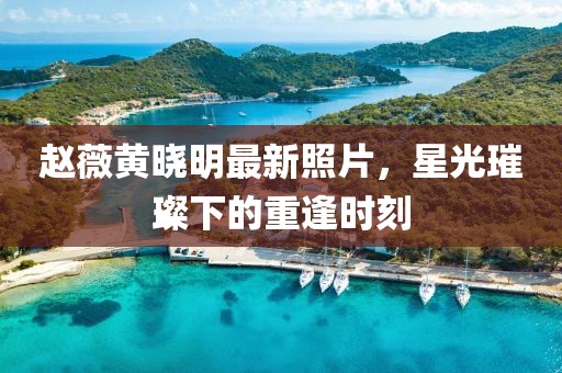 赵薇黄晓明最新照片，星光璀璨下的重逢时刻