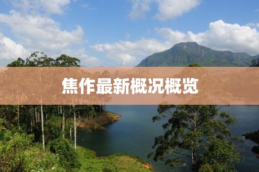 焦作最新概况概览
