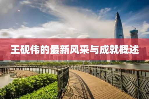 王砚伟的最新风采与成就概述