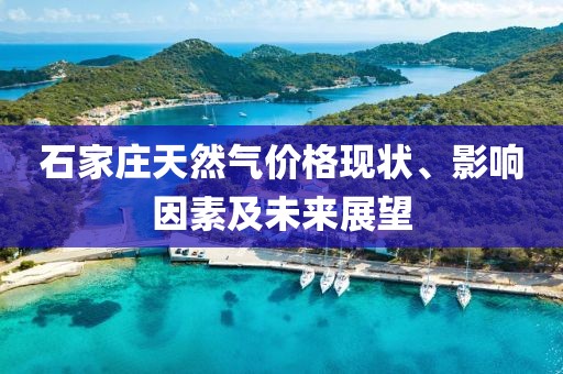 石家庄天然气价格现状、影响因素及未来展望