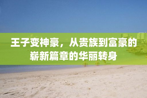 王子变神豪，从贵族到富豪的崭新篇章的华丽转身