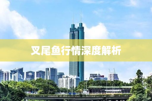 叉尾鱼行情深度解析