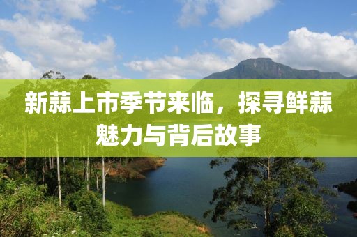 新蒜上市季节来临，探寻鲜蒜魅力与背后故事