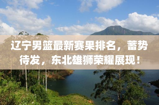 辽宁男篮最新赛果排名，蓄势待发，东北雄狮荣耀展现！