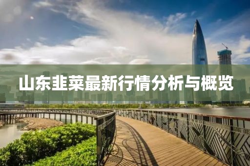 山东韭菜最新行情分析与概览