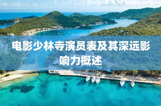 电影少林寺演员表及其深远影响力概述