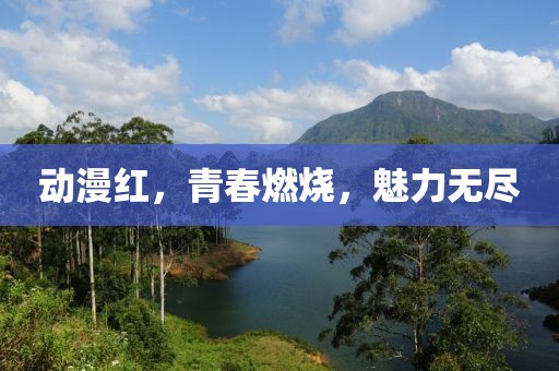 动漫红，青春燃烧，魅力无尽