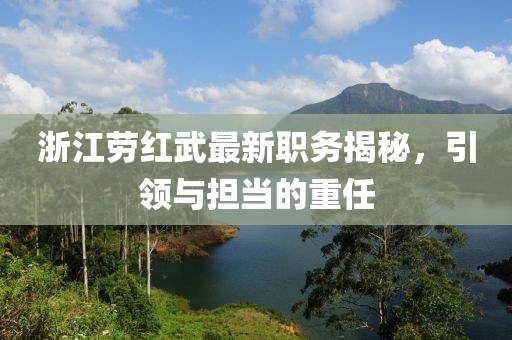 浙江劳红武最新职务揭秘，引领与担当的重任