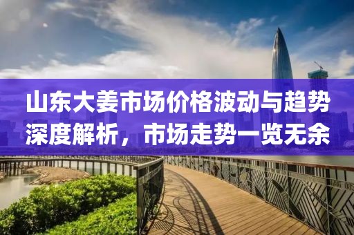 山东大姜市场价格波动与趋势深度解析，市场走势一览无余