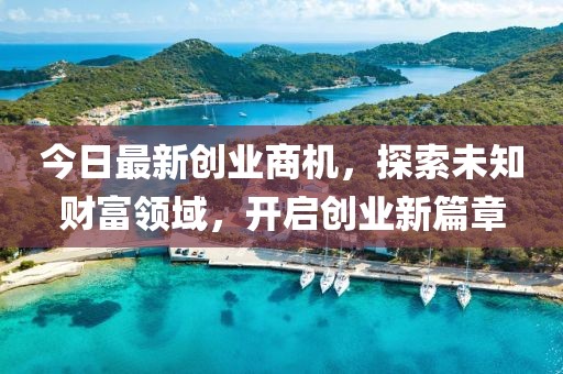 今日最新创业商机，探索未知财富领域，开启创业新篇章