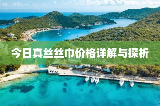 今日真丝丝巾价格详解与探析