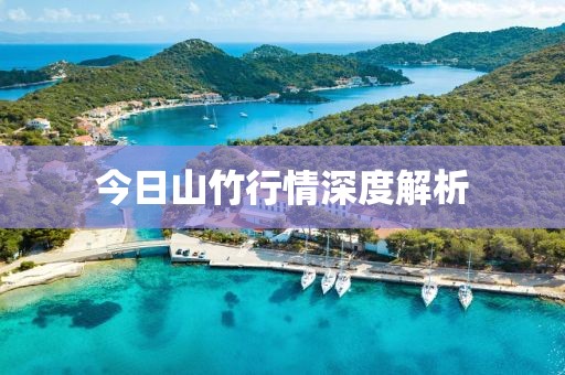 今日山竹行情深度解析