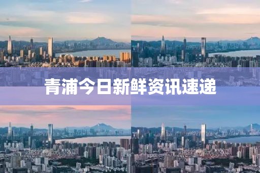 青浦今日新鲜资讯速递