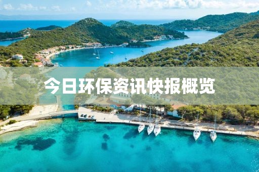 今日环保资讯快报概览