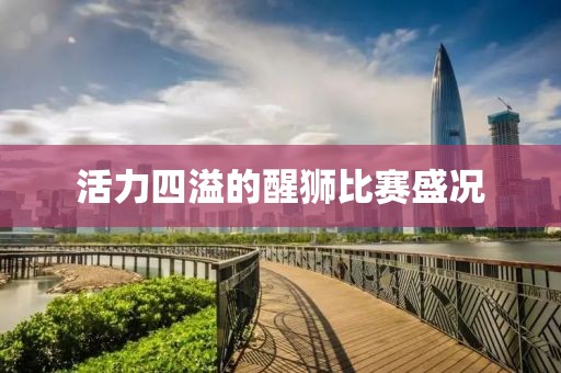 活力四溢的醒狮比赛盛况