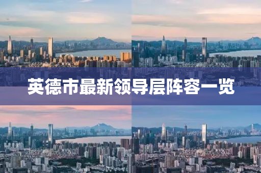 英德市最新领导层阵容一览