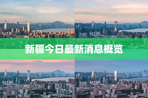 新疆今日最新消息概览