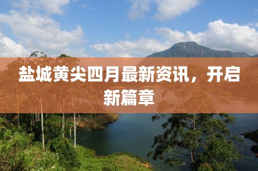 盐城黄尖四月最新资讯，开启新篇章