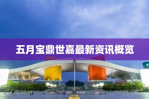 五月宝鼎世嘉最新资讯概览
